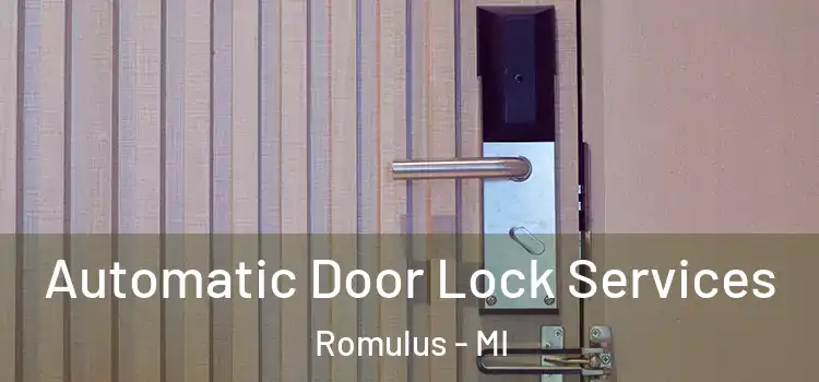 Automatic Door Lock Services Romulus - MI