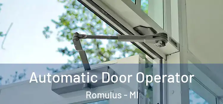 Automatic Door Operator Romulus - MI