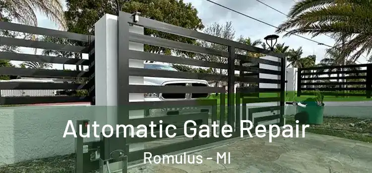 Automatic Gate Repair Romulus - MI