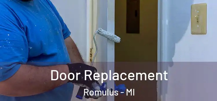 Door Replacement Romulus - MI