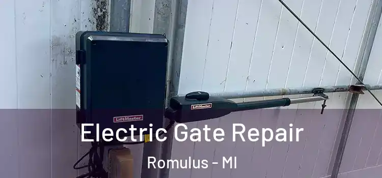 Electric Gate Repair Romulus - MI