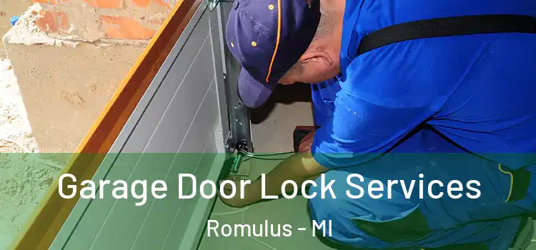 Garage Door Lock Services Romulus - MI