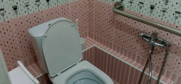 Meeting Diverse Needs With Accessible Restroom Solutions in Romulus, MI
