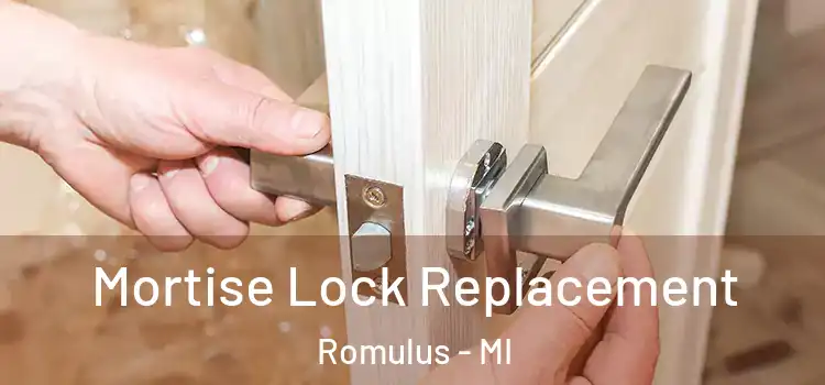 Mortise Lock Replacement Romulus - MI