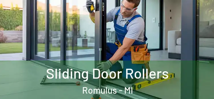 Sliding Door Rollers Romulus - MI
